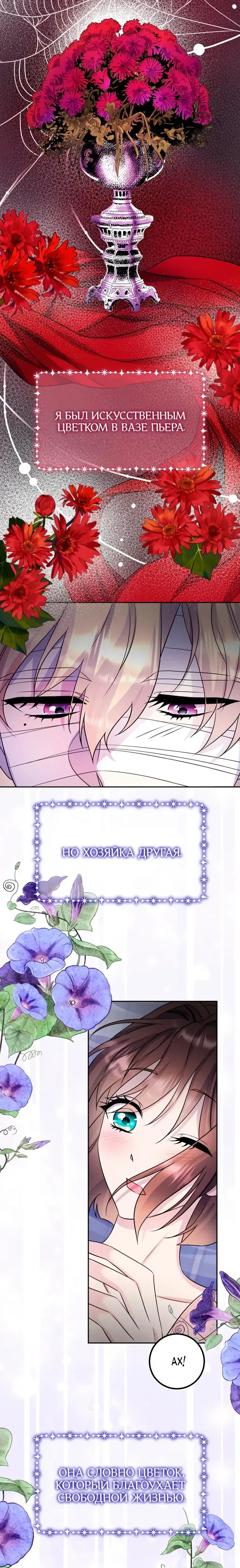 Page 5.001