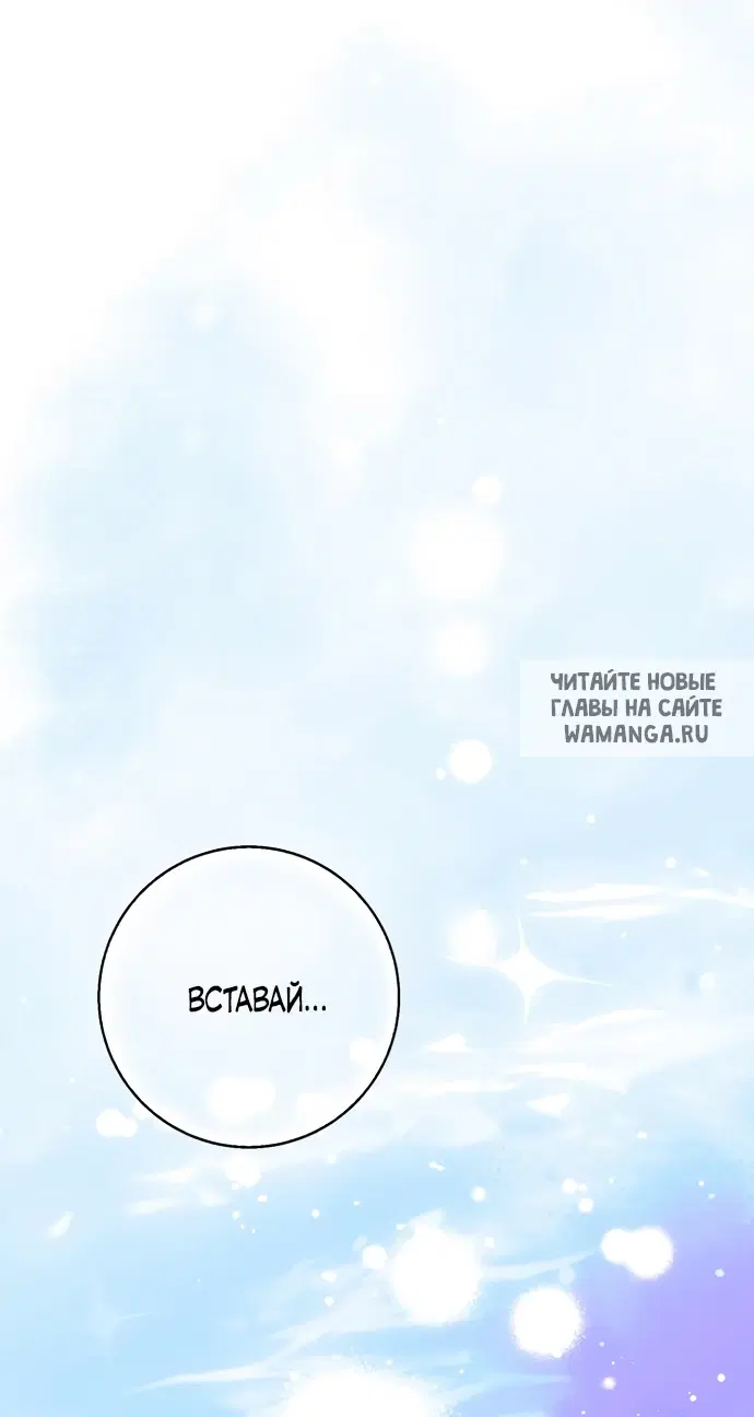 Page 61.000