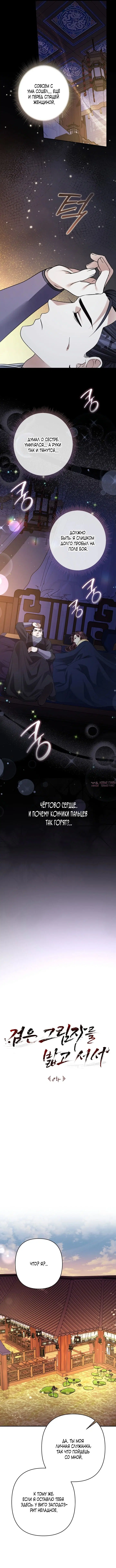 «Стоя на черной тени», глава 8, страница 6.000000000