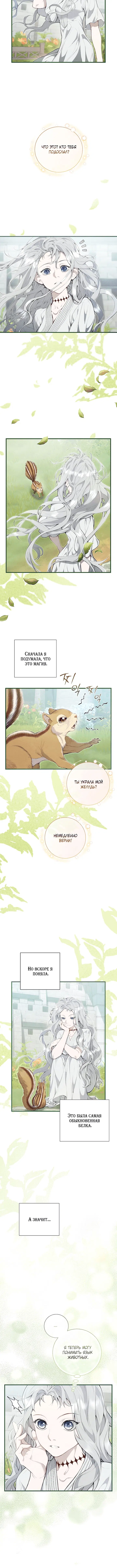 Page 5.001