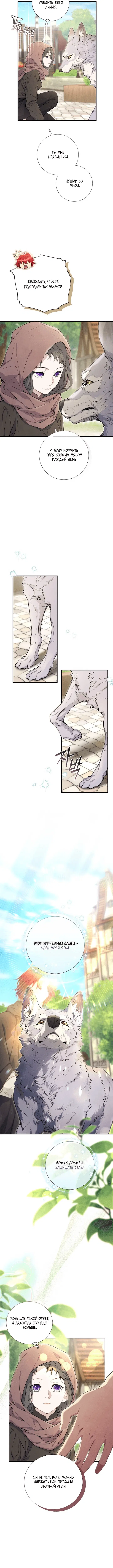 Page 5.001