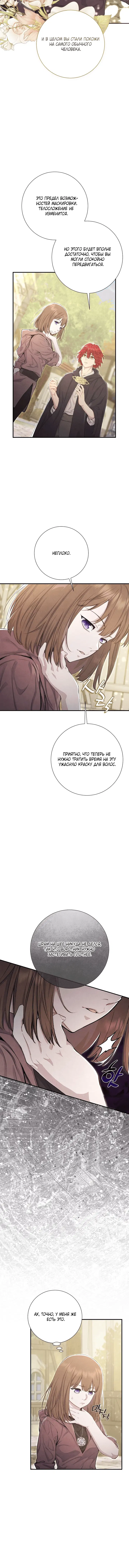 Page 6.001