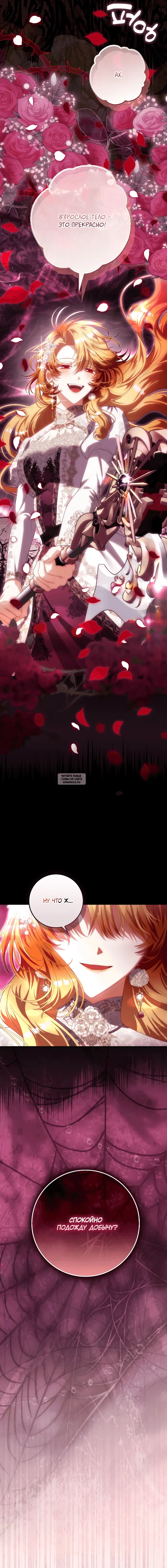 Page 17.000