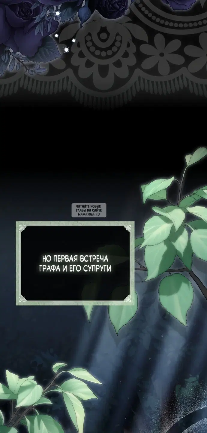 Page 40.000
