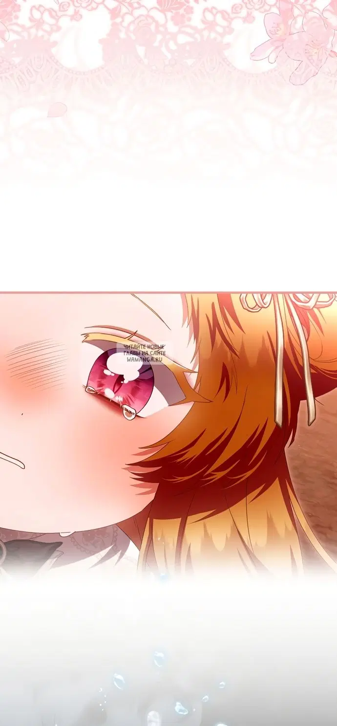 Page 41.000