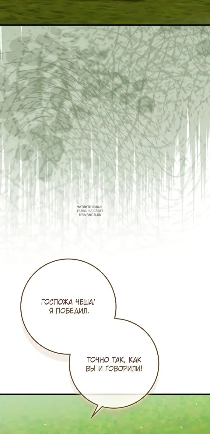 Page 55.000