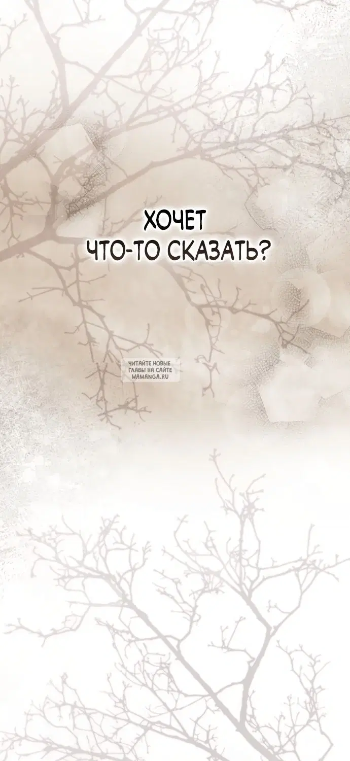 Page 53.000