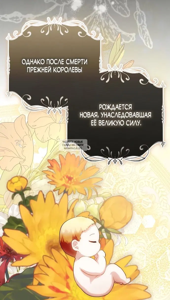 Page 67.000