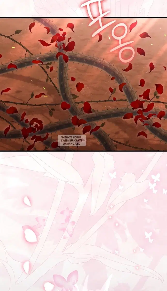Page 82.000