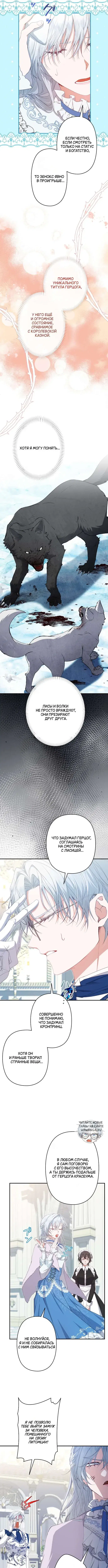 Page 5.000