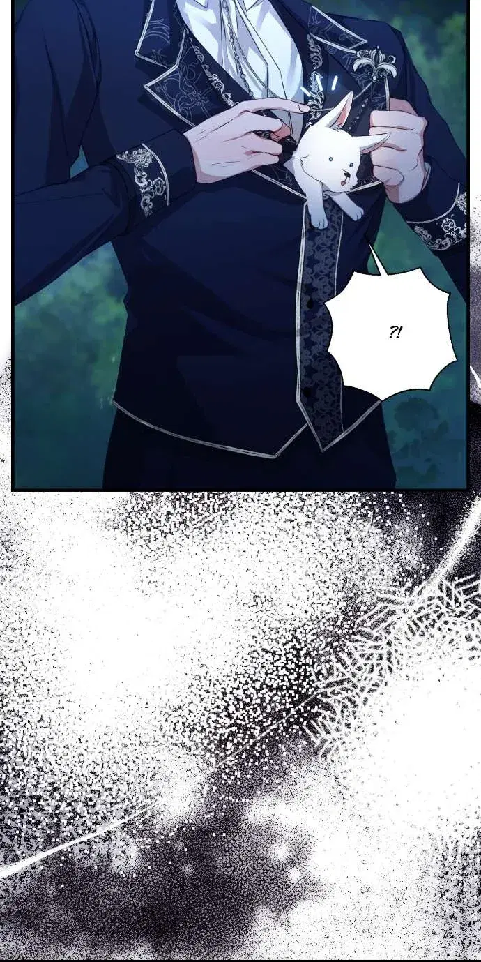 Page 8.001