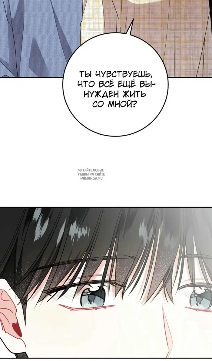Page 61.000