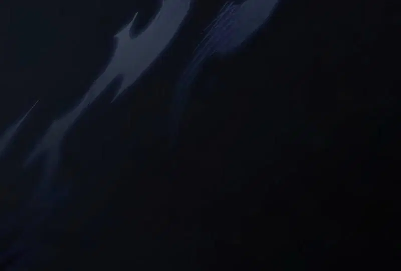 Page 1.002
