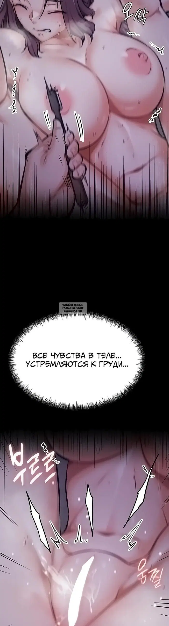 Page 31.000