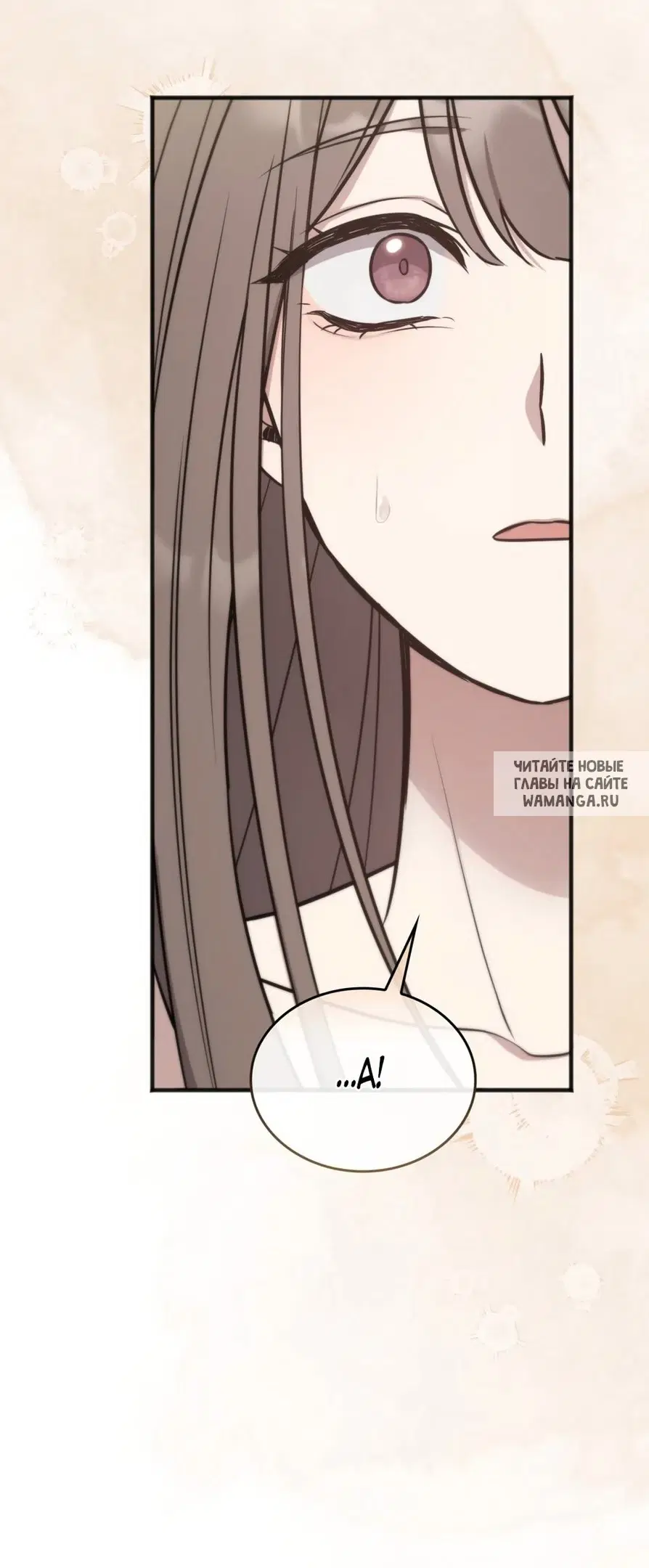 Page 51.000