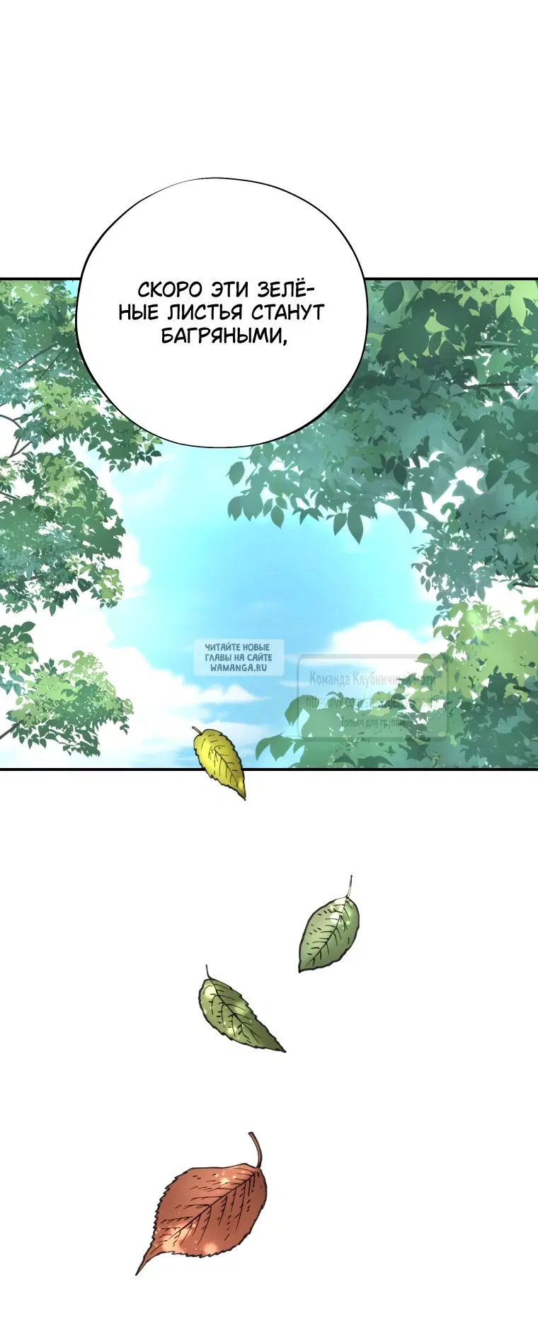 Page 20.000