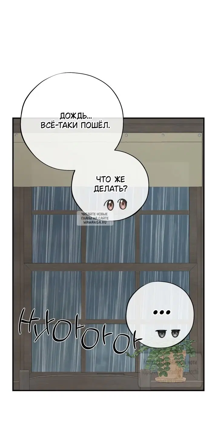 Page 36.000