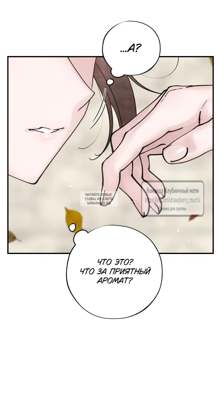 Page 39.000
