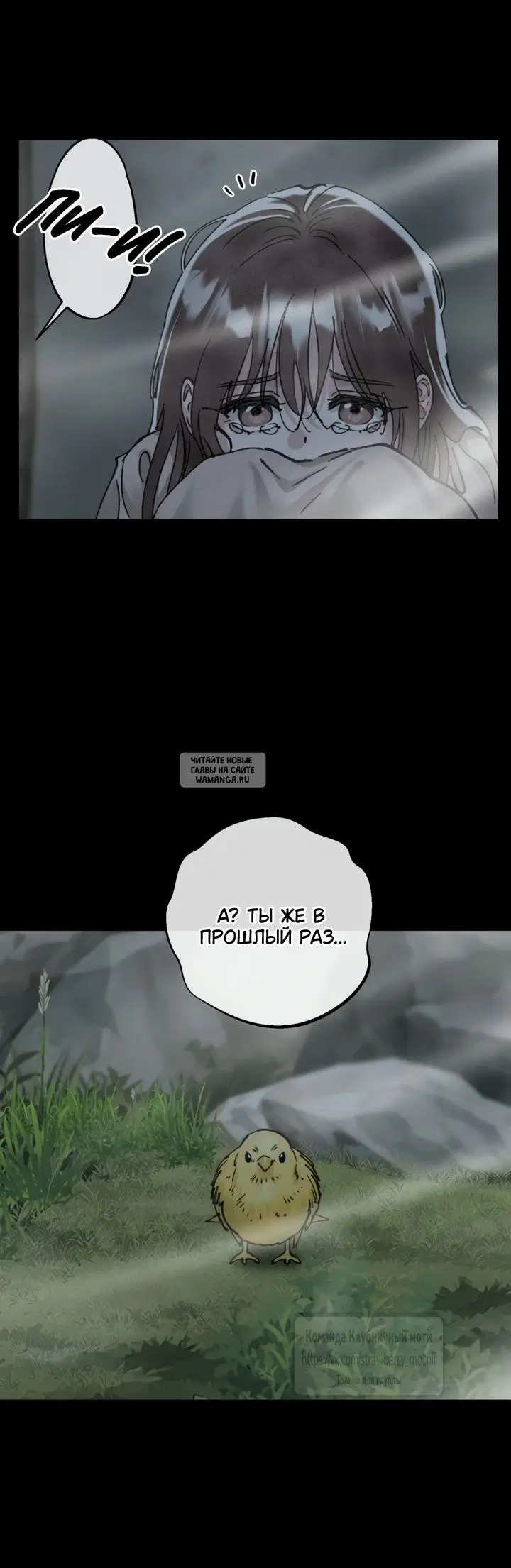 Page 42.000