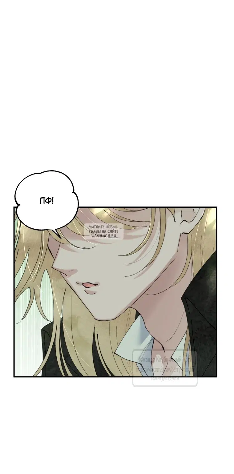Page 53.000