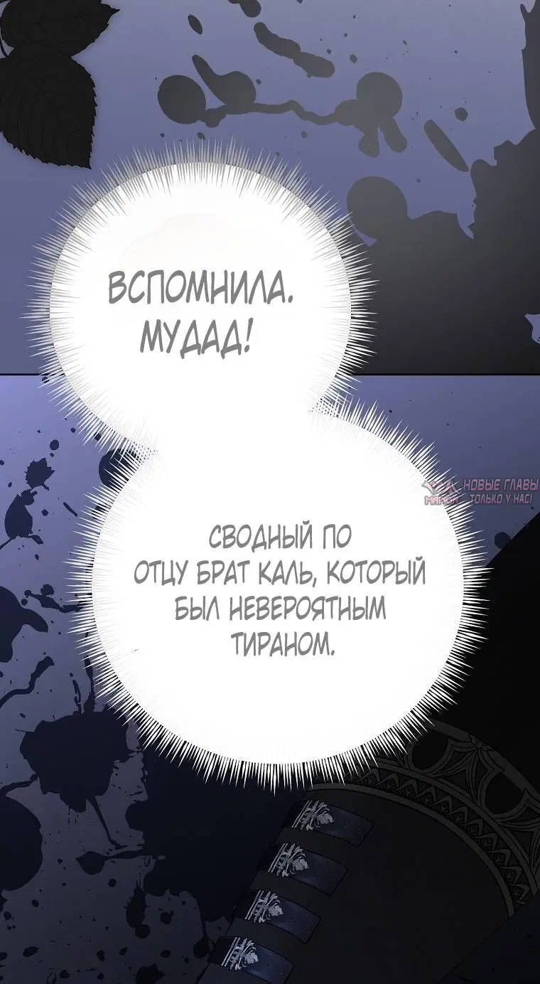 Page 24.000