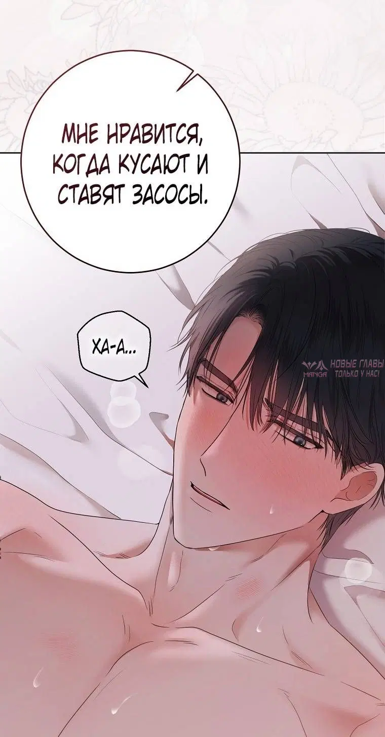 Page 38.000