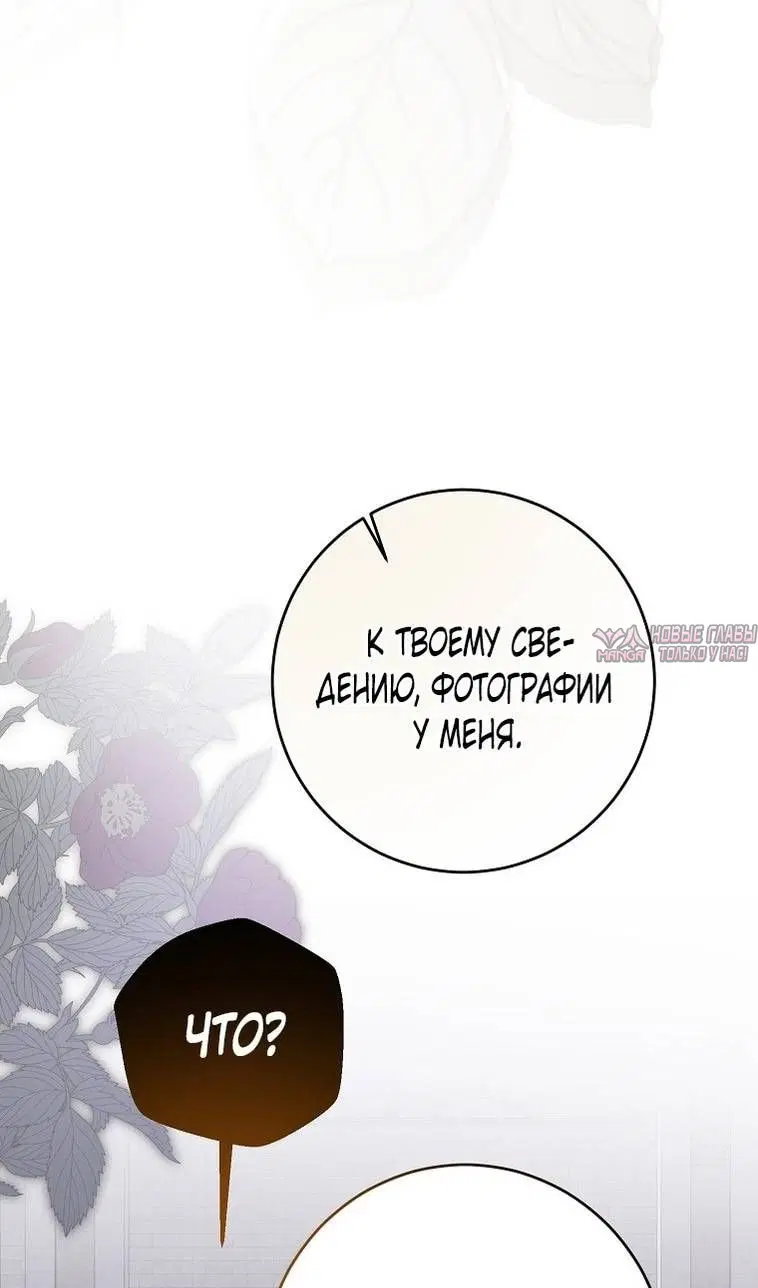 Page 46.000
