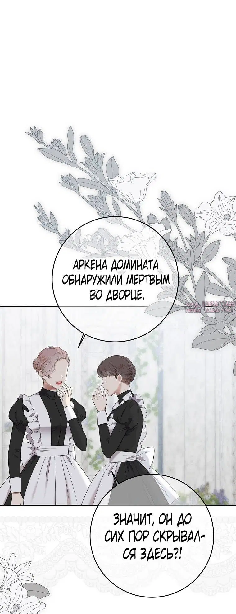 Page 41.000