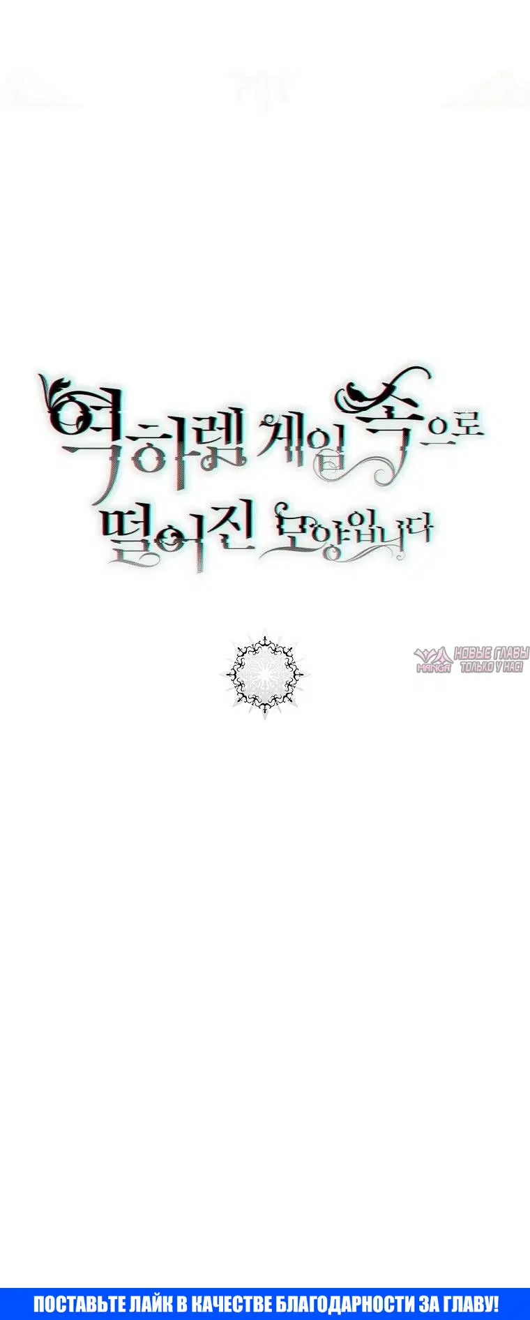 Page 55.000