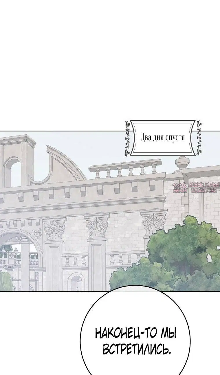 Page 51.000
