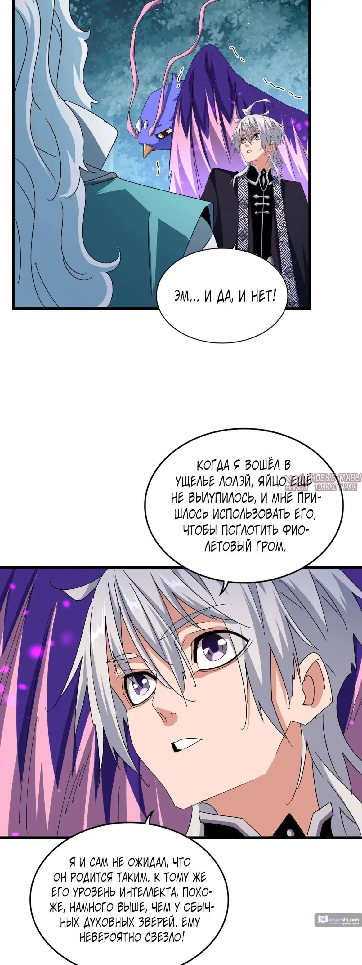 Page 13.000