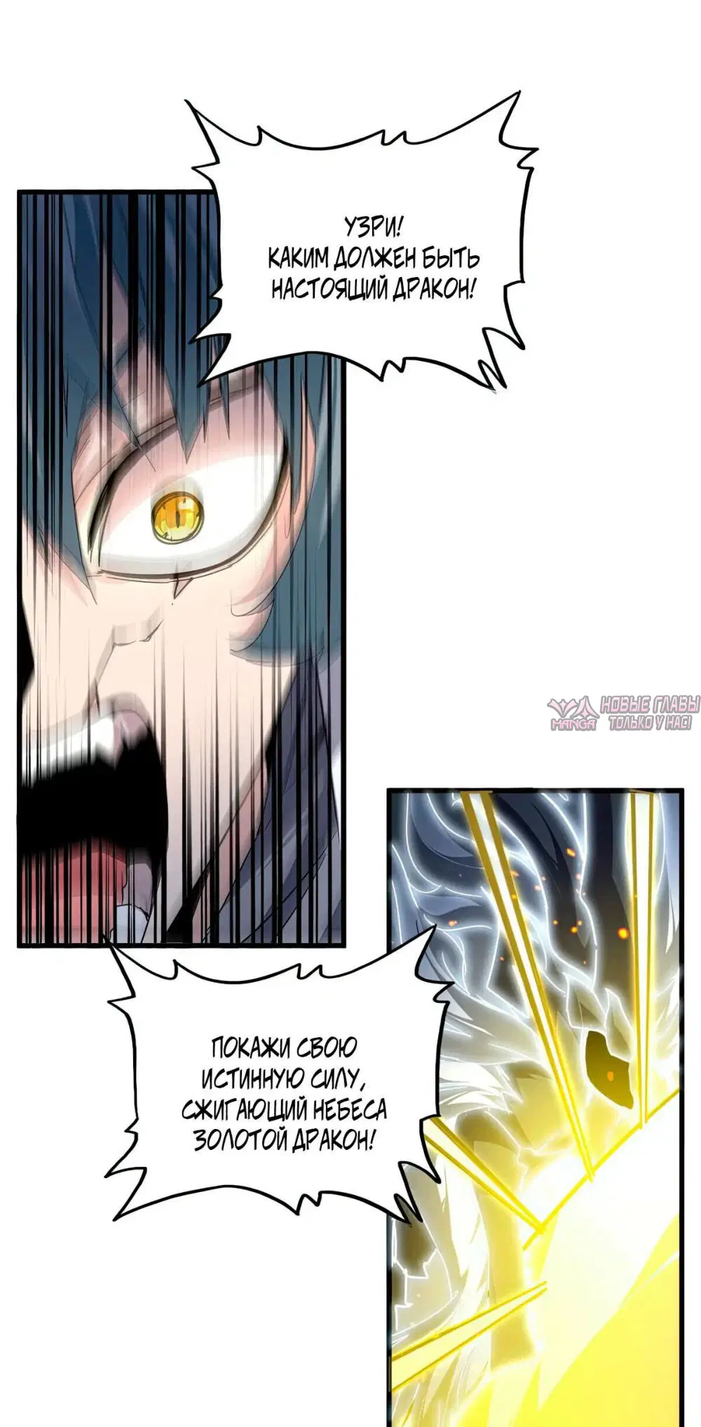 Page 36.000