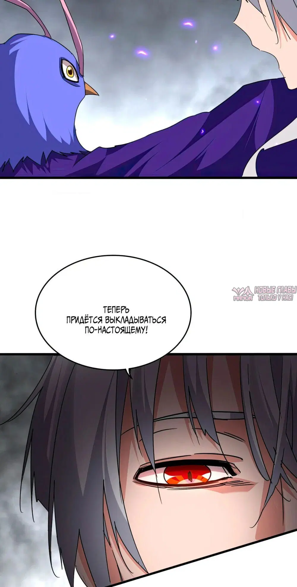 Page 43.000
