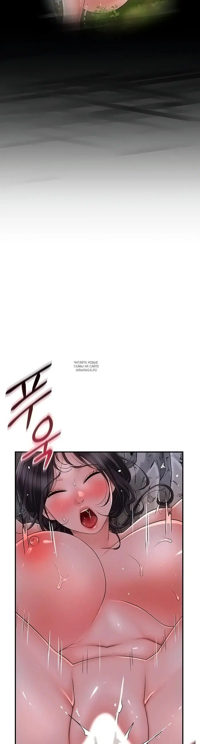 Page 36.000