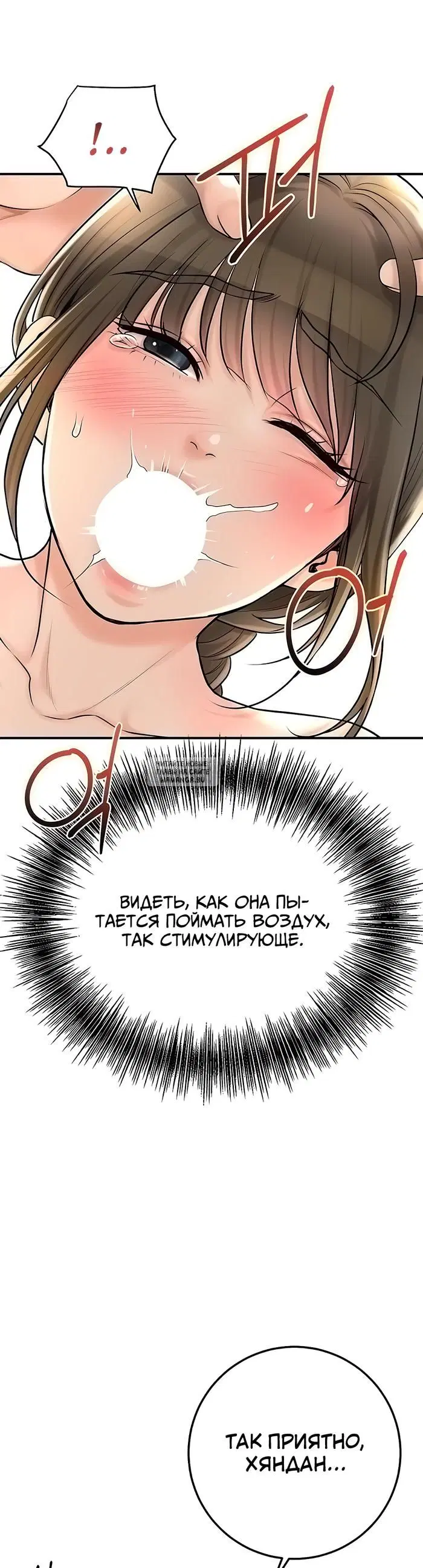 Page 41.000