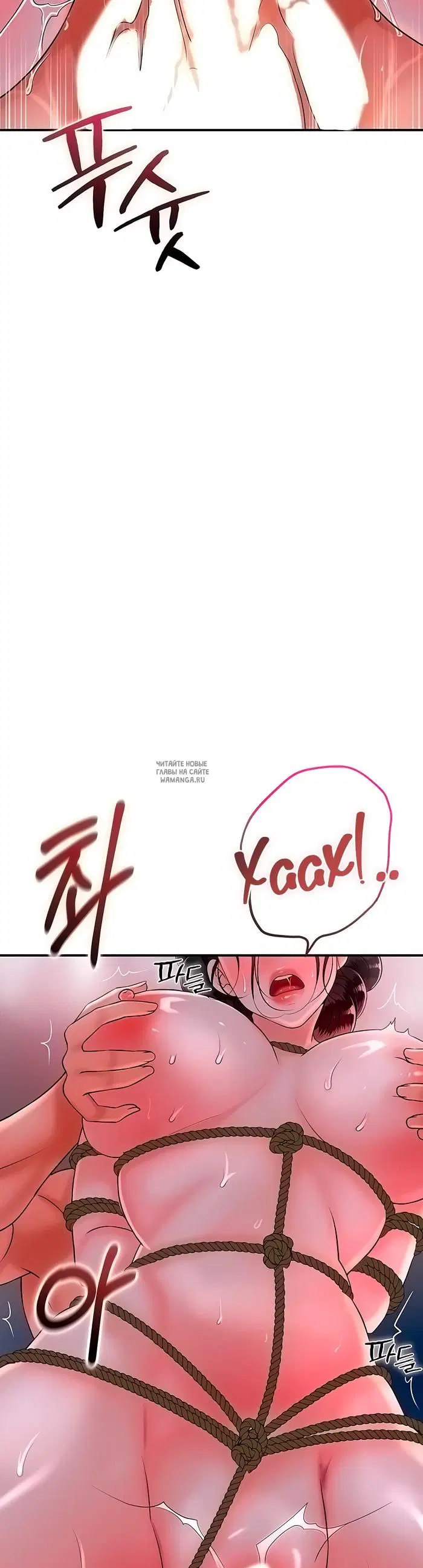 Page 41.000