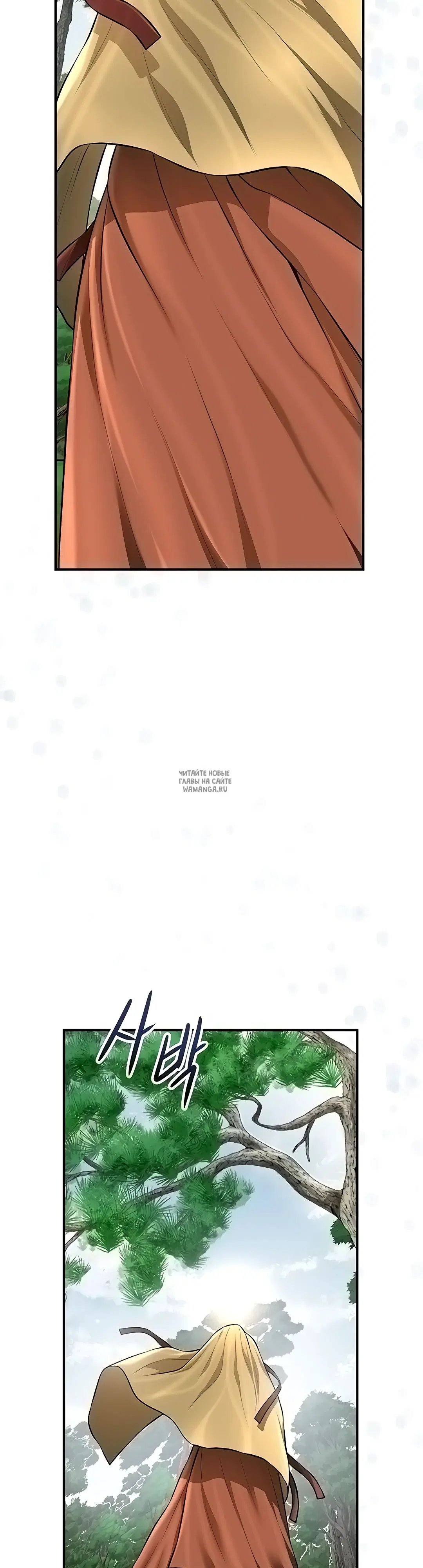 Page 41.000