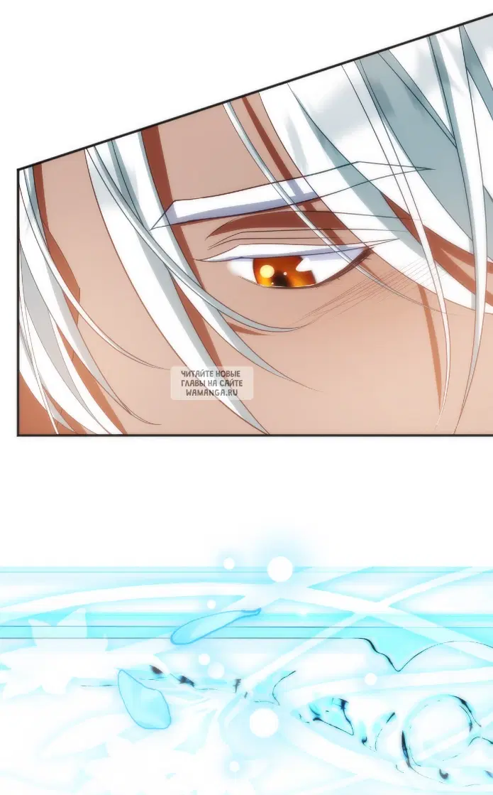 Page 81.000