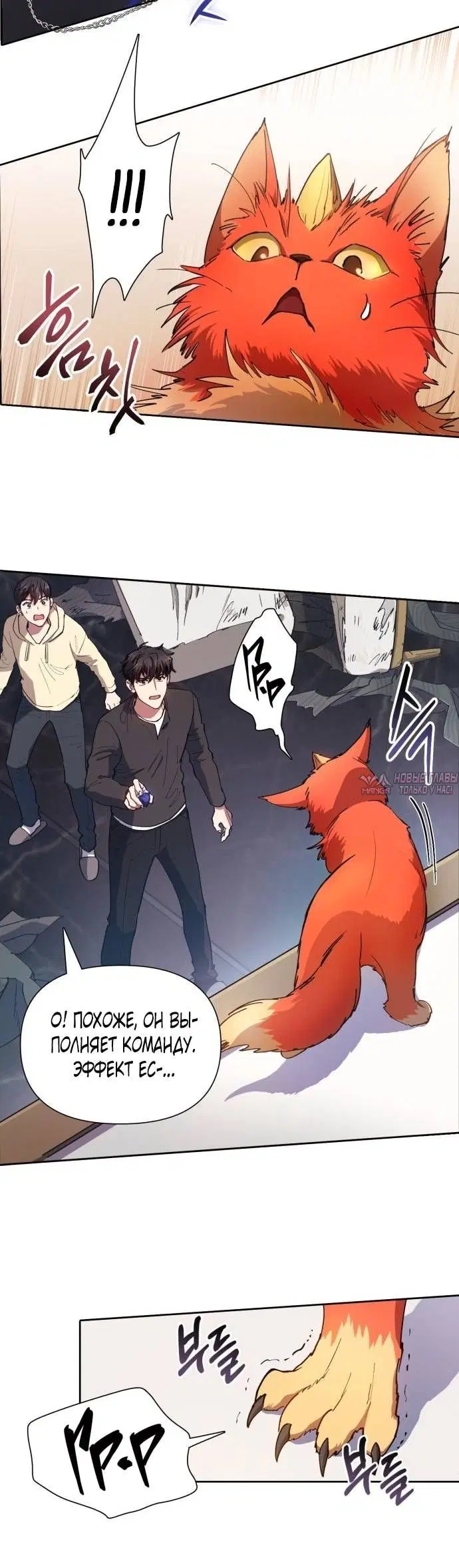 Page 4.001