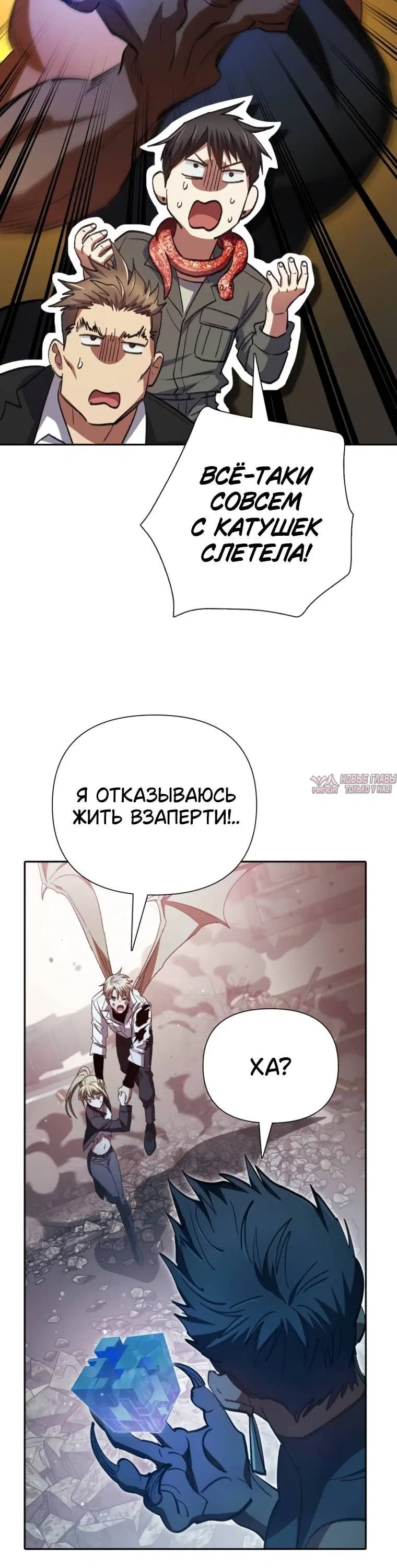 Page 11.001