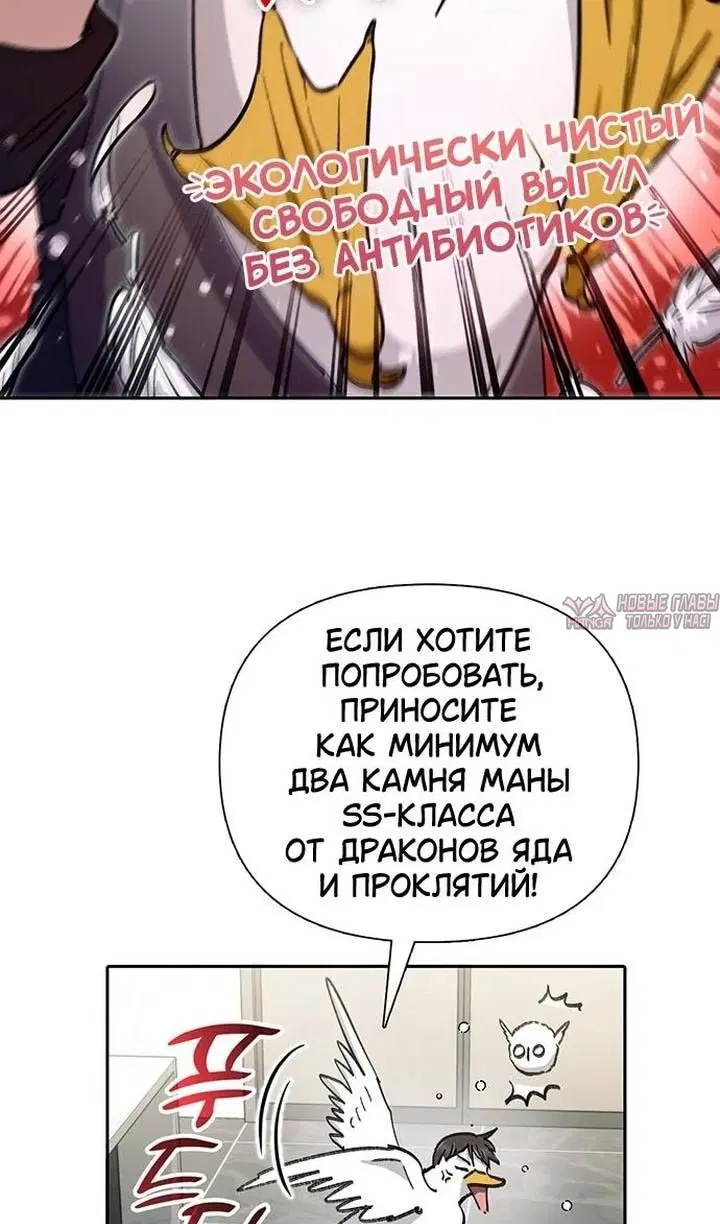 Page 28.000