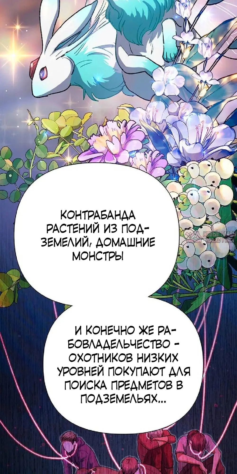 Page 35.000
