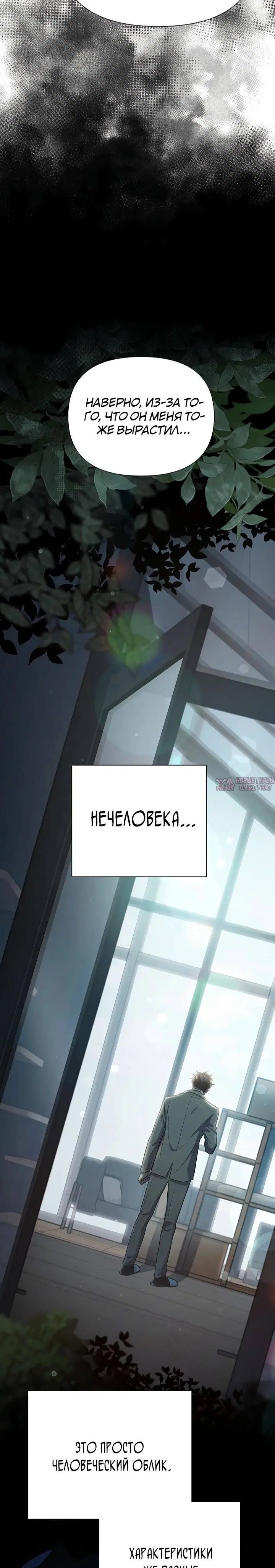 Page 31.000