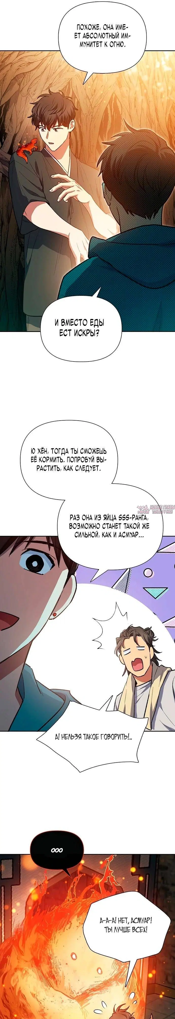 Page 31.000