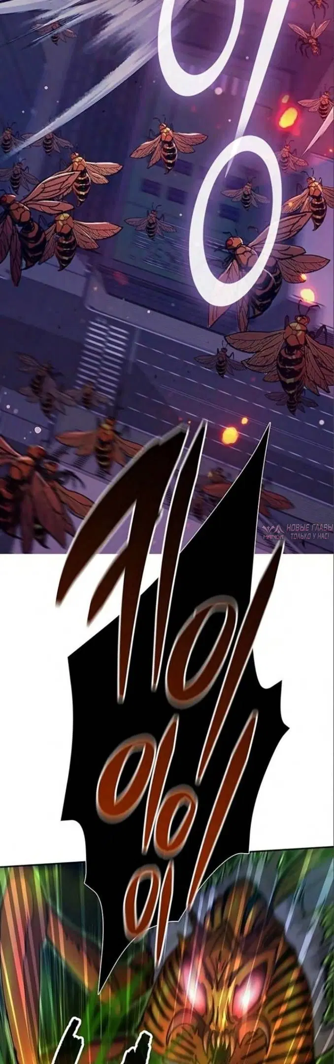 Page 50.000
