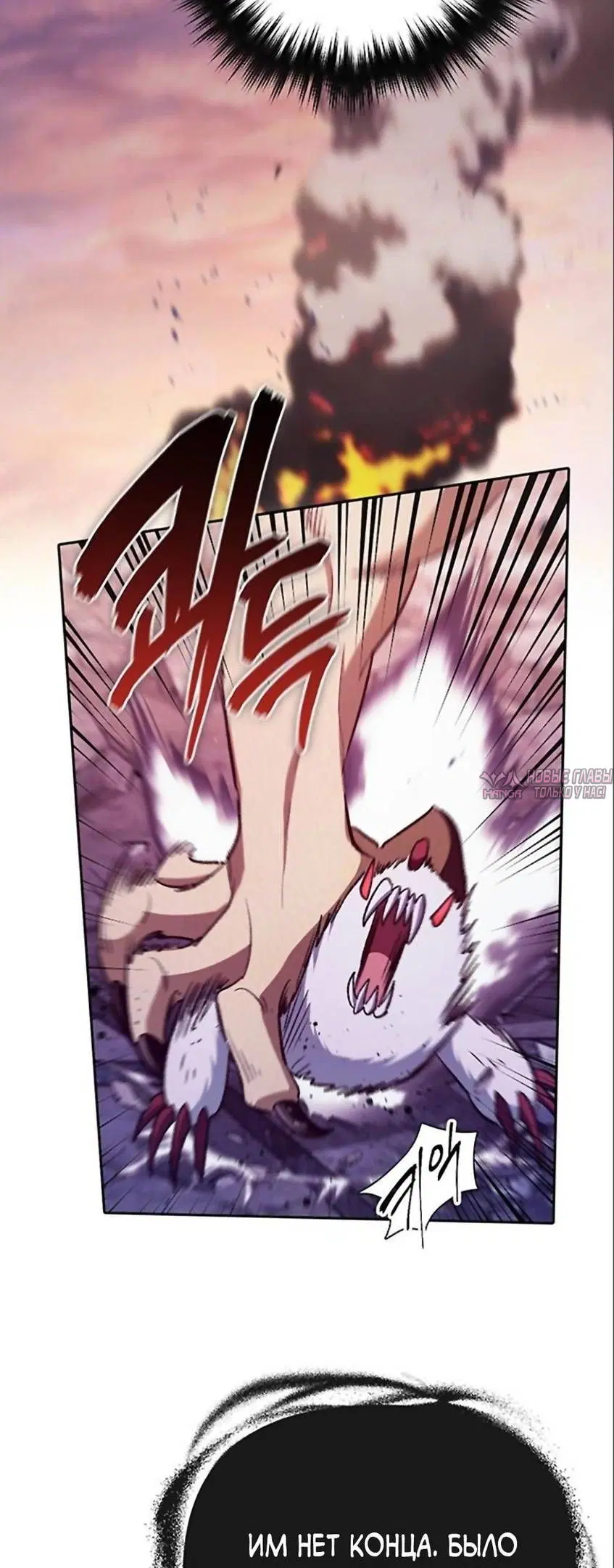 Page 50.000