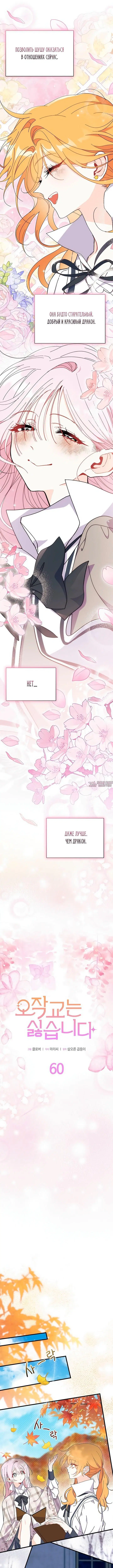Page 7.000000000