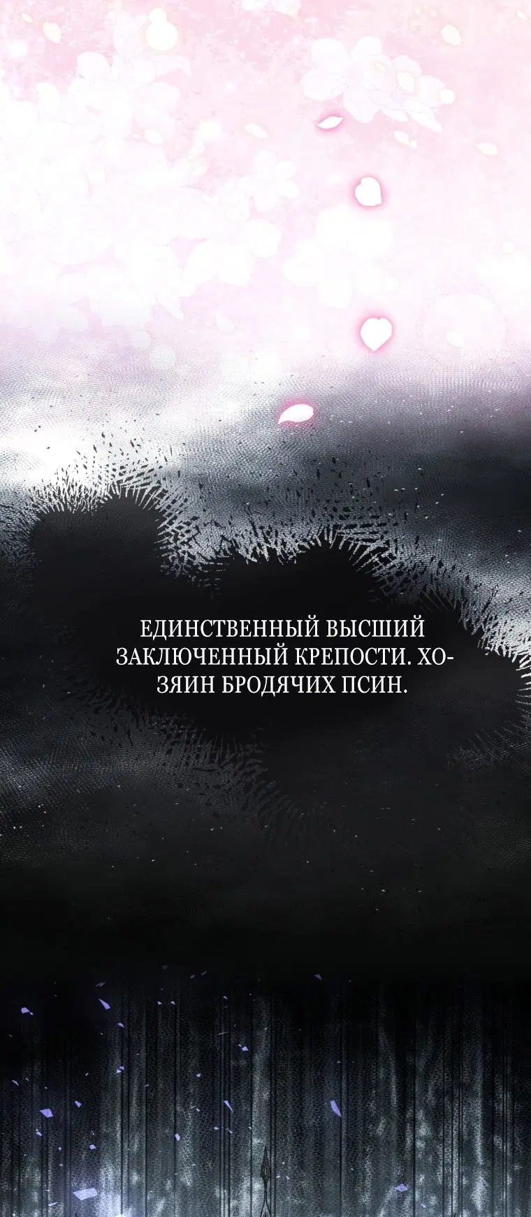 Page 25.000