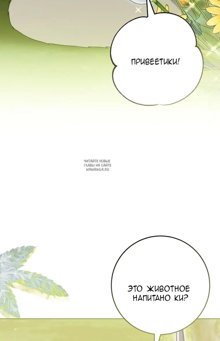 Page 46.000
