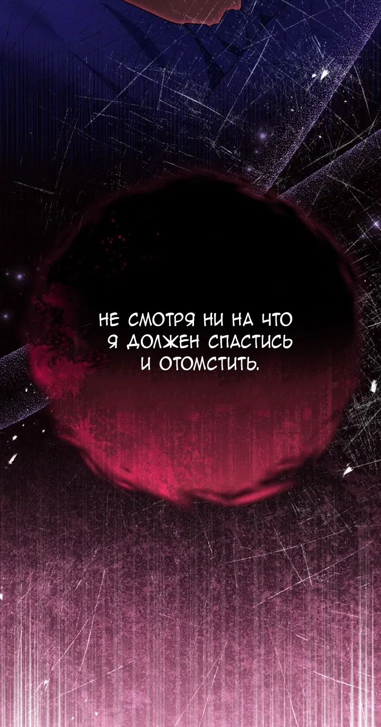 Page 81.000